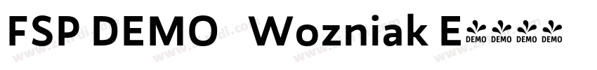 FSP DEMO   Wozniak E字体转换